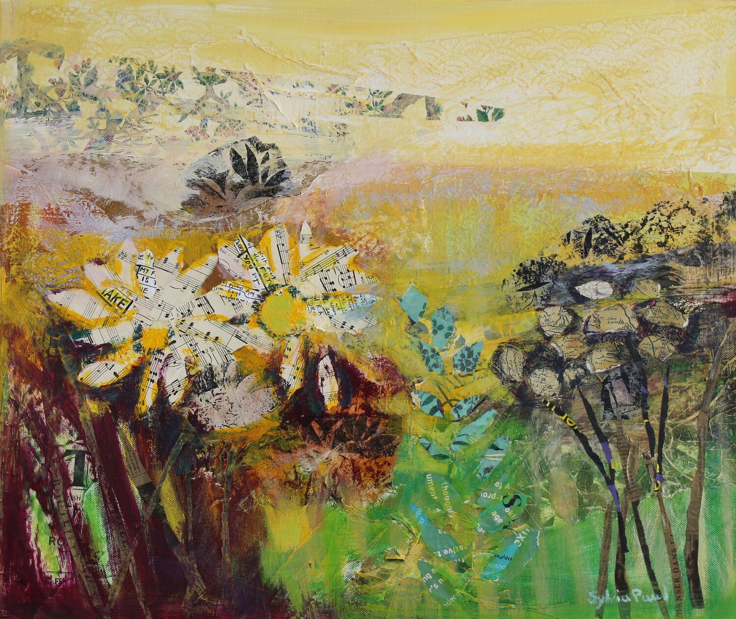 Meadow Daisies Sylvia Paul Original painting for sale