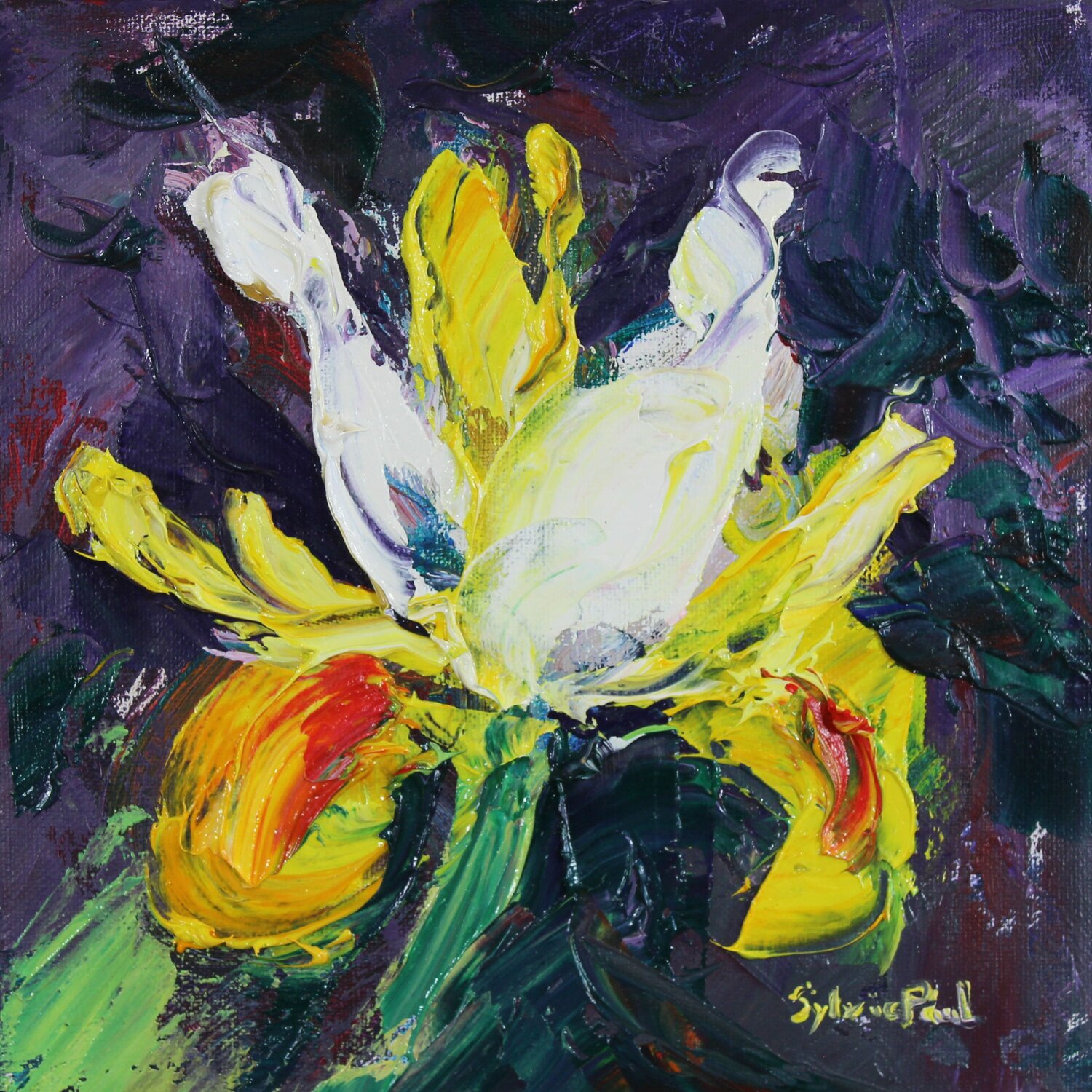 Yellow Iris Sylvia Paul Original painting for sale