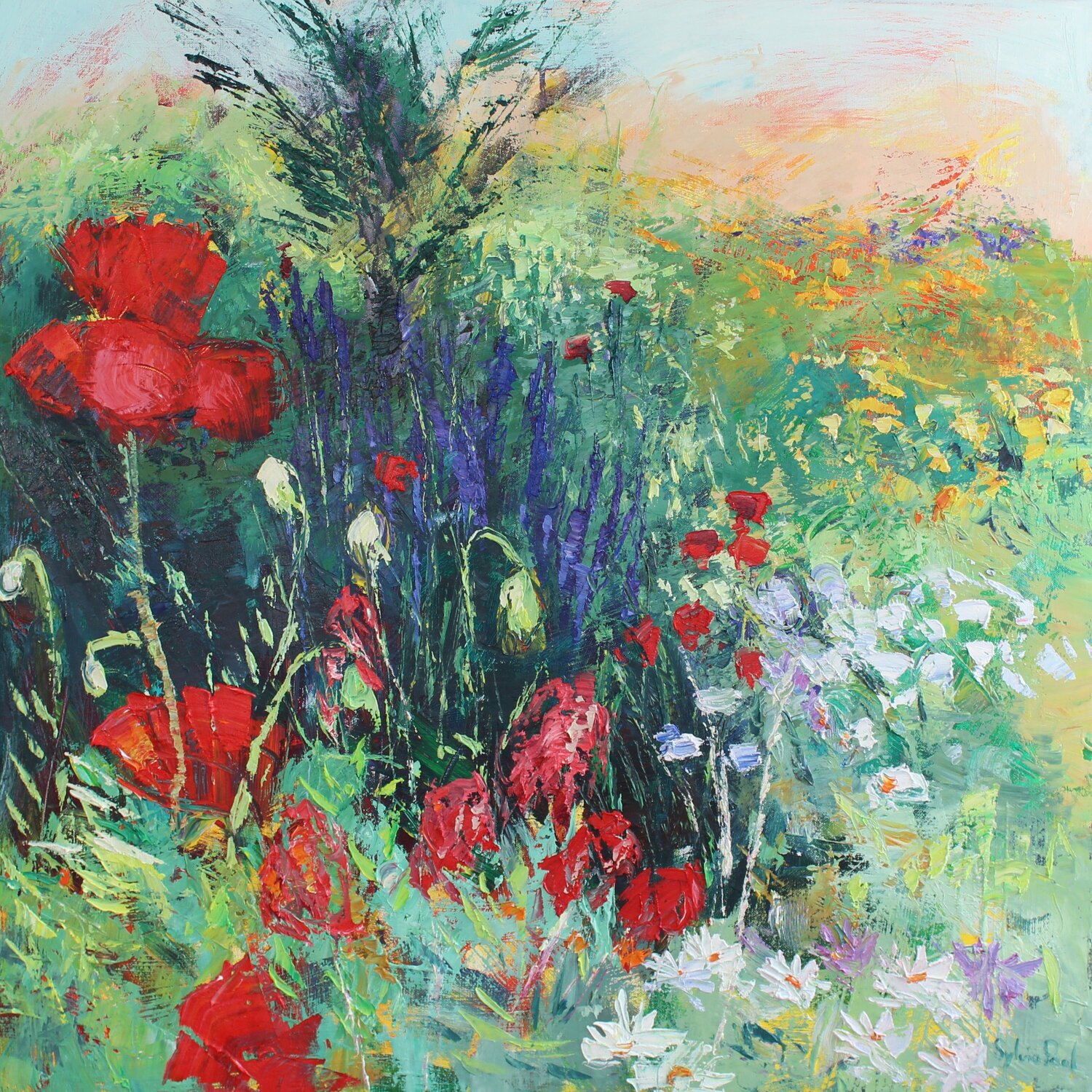 Poppy Patch Sylvia Paul Original painting for sale