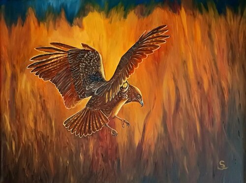 Fly by Steffi Rodigas, Painting for Sale on Select