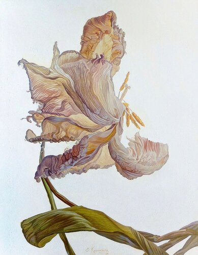 Beautiful Flower by Irini Karpikioti, Painting for Sale on Select