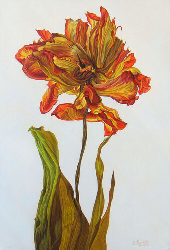 Red Flower by Irini Karpikioti, Painting for Sale on Select