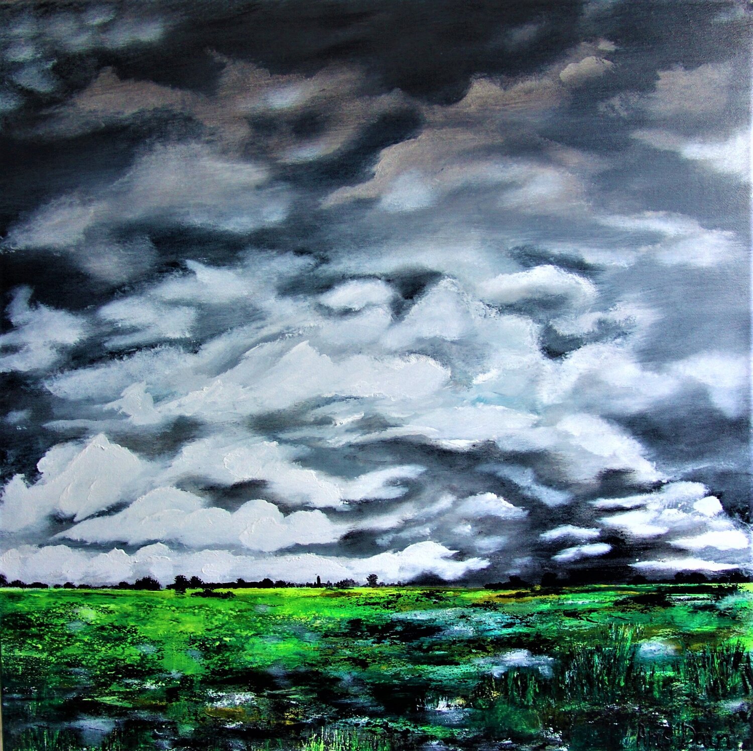 After the rain ......... Ans Duin Original painting for sale