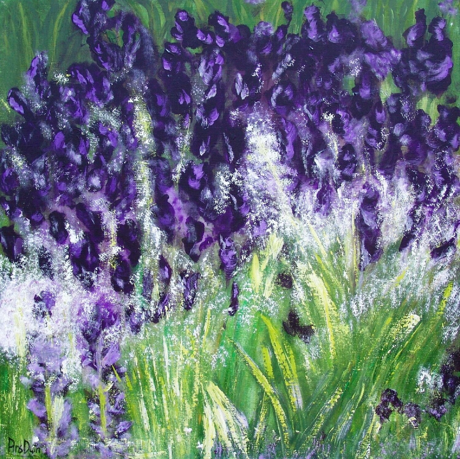 Black Knight Iris Ans Duin Original painting for sale