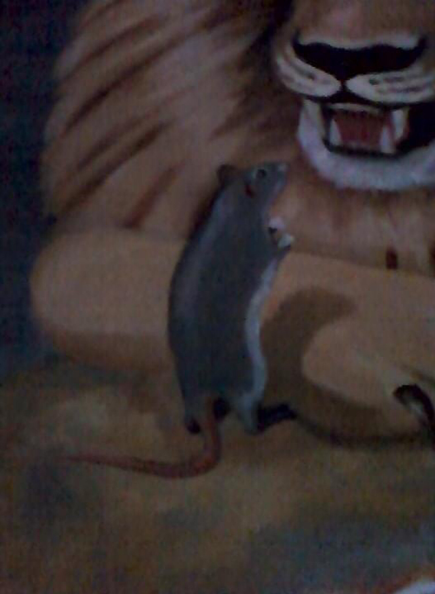 Topic Rat paintings