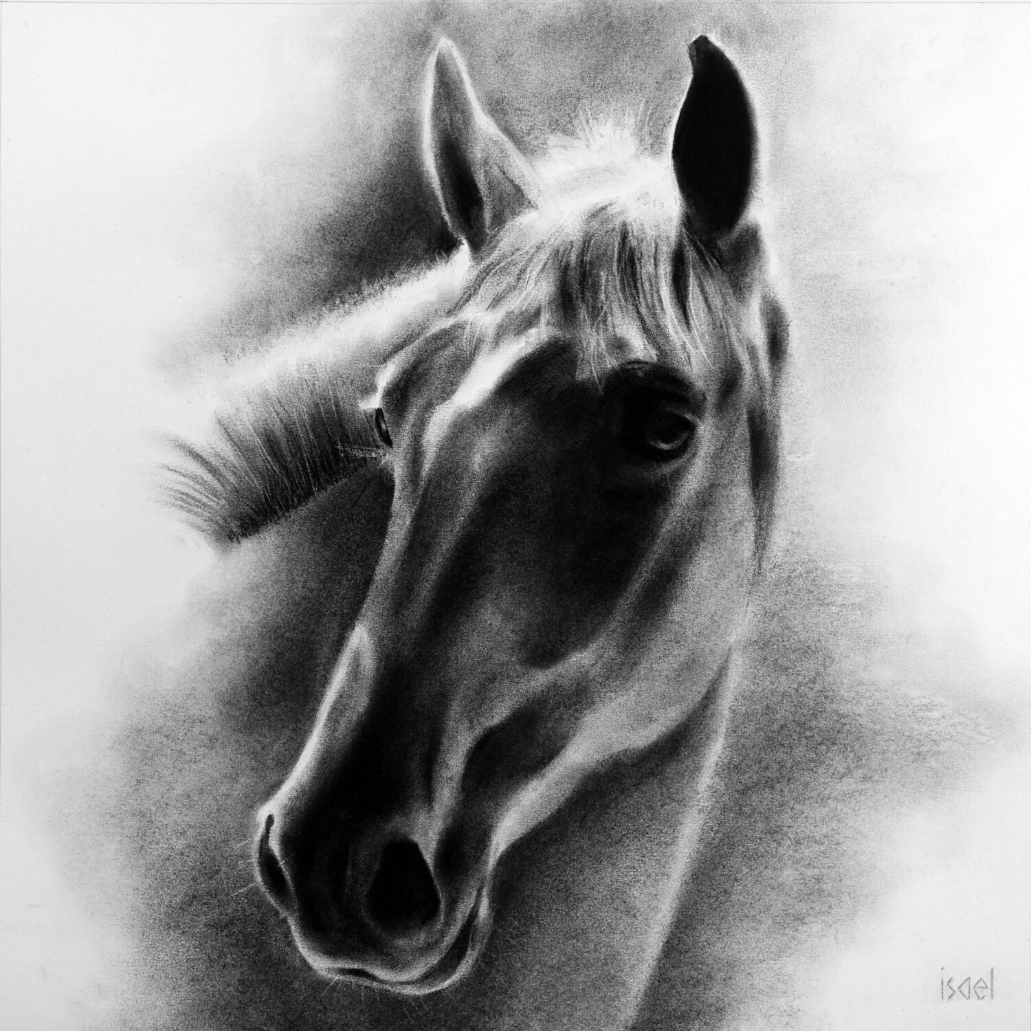 Hofély Isael Drawing for sale