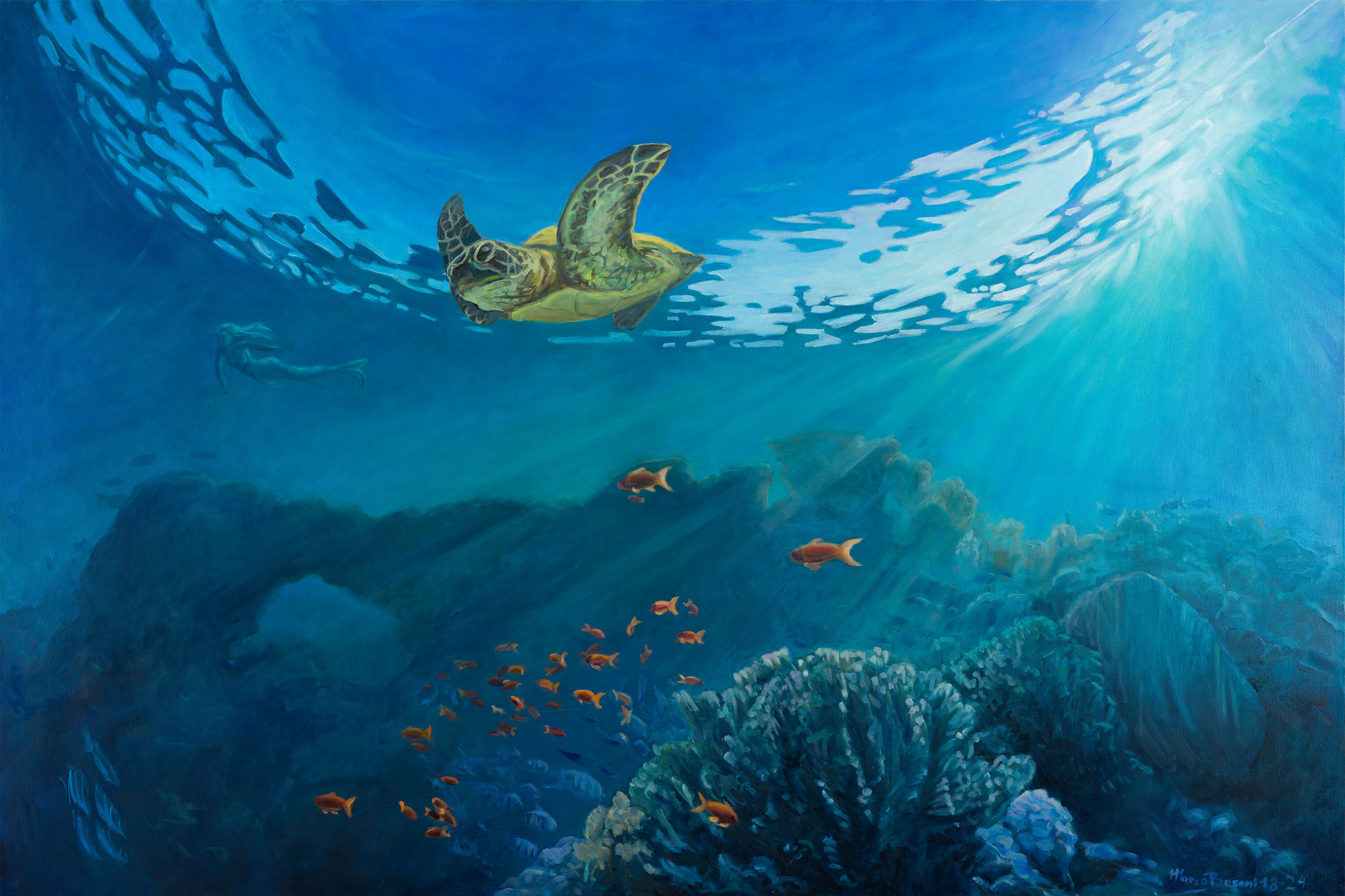 Life in the ocean