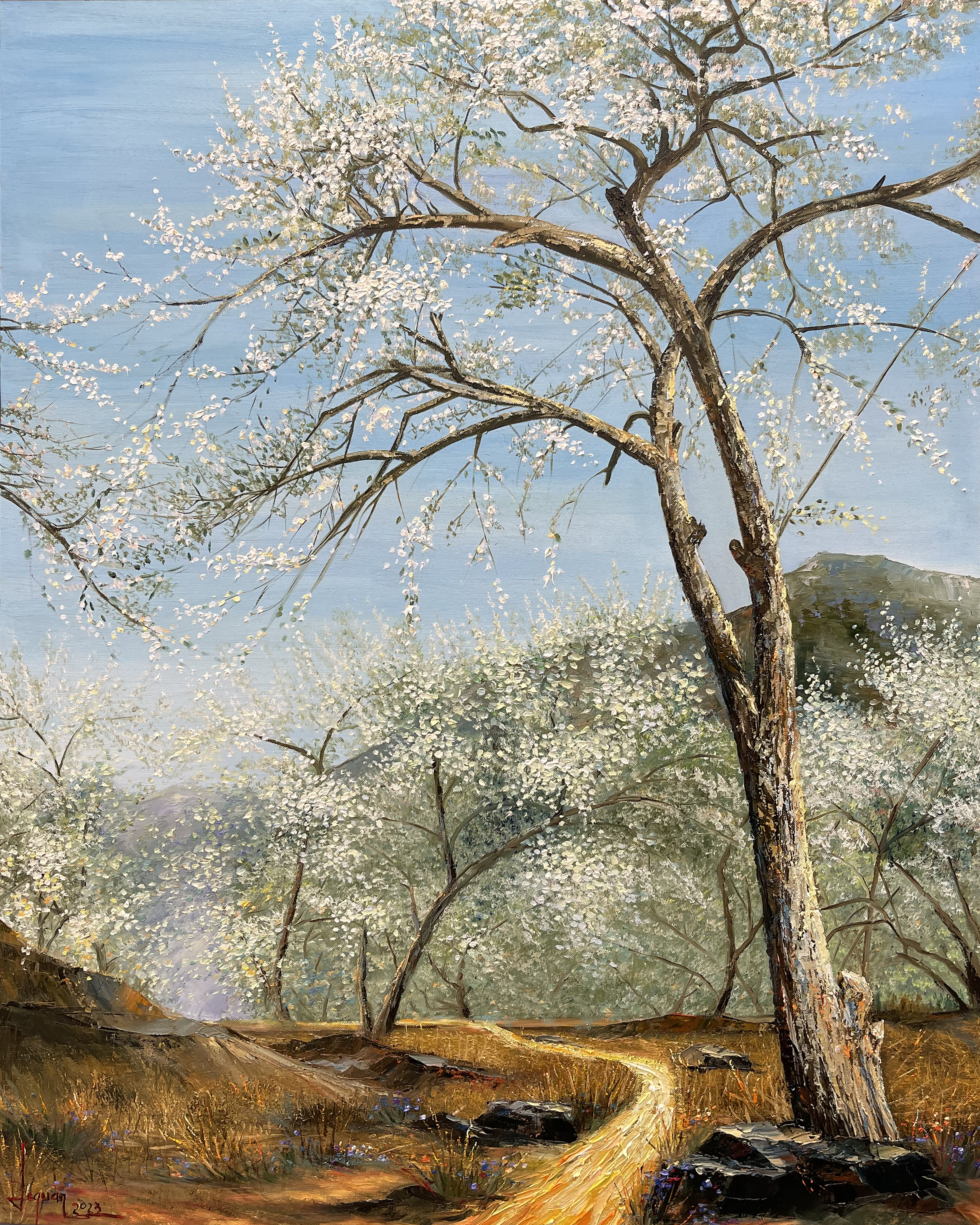 Flowers in spring