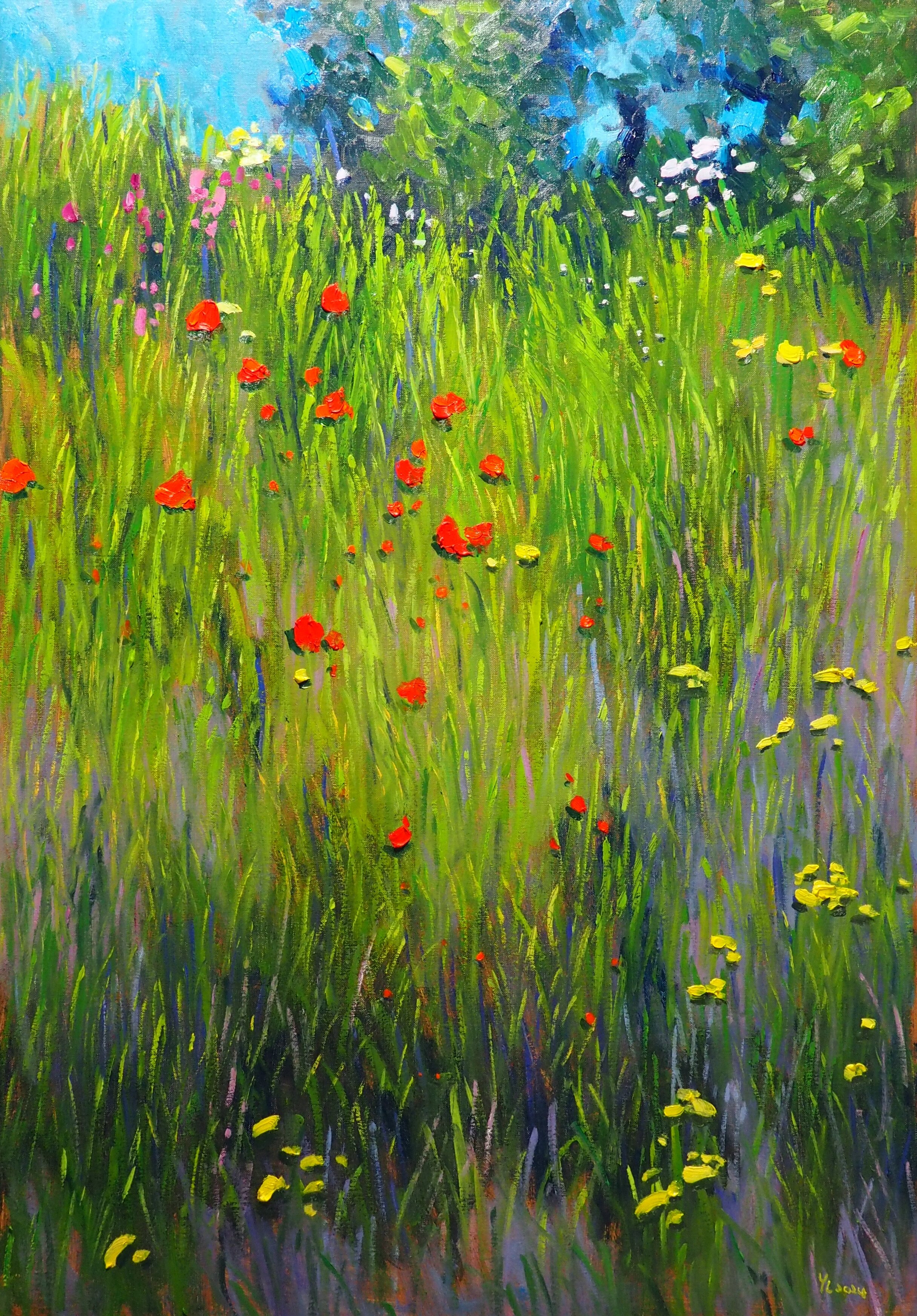 Summer  Landscape