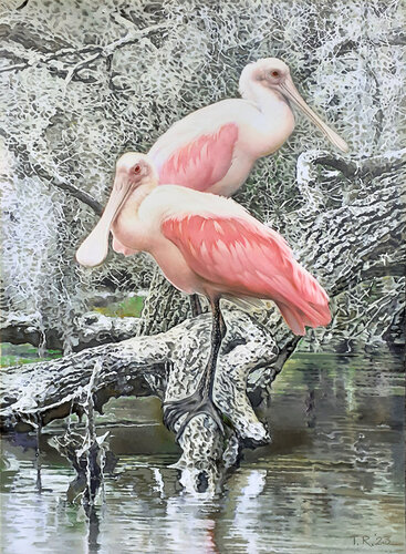 ROSEATE SPOONBILLS by Tatiana Rezvaya, Painting for Sale on Select