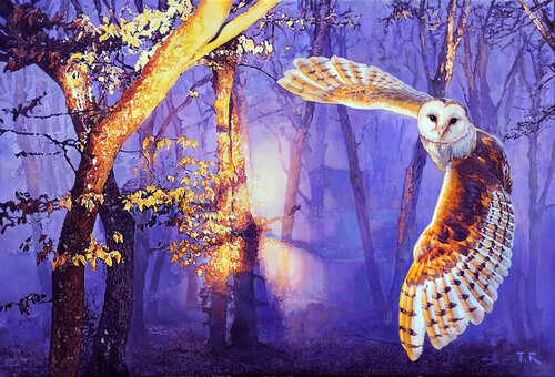 AWAKENING SHADOWS by Tatiana Rezvaya, Painting for Sale on Select