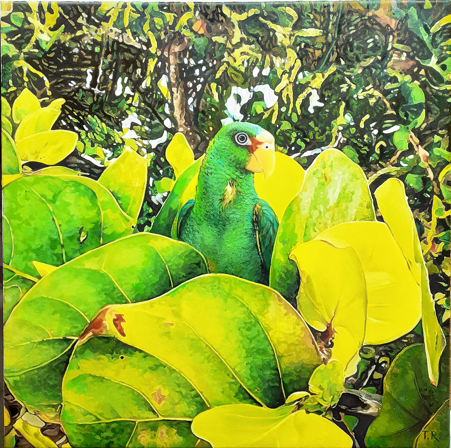 SIMONA FROM MAHAHUAL Tatiana Rezvaya Original painting for sale