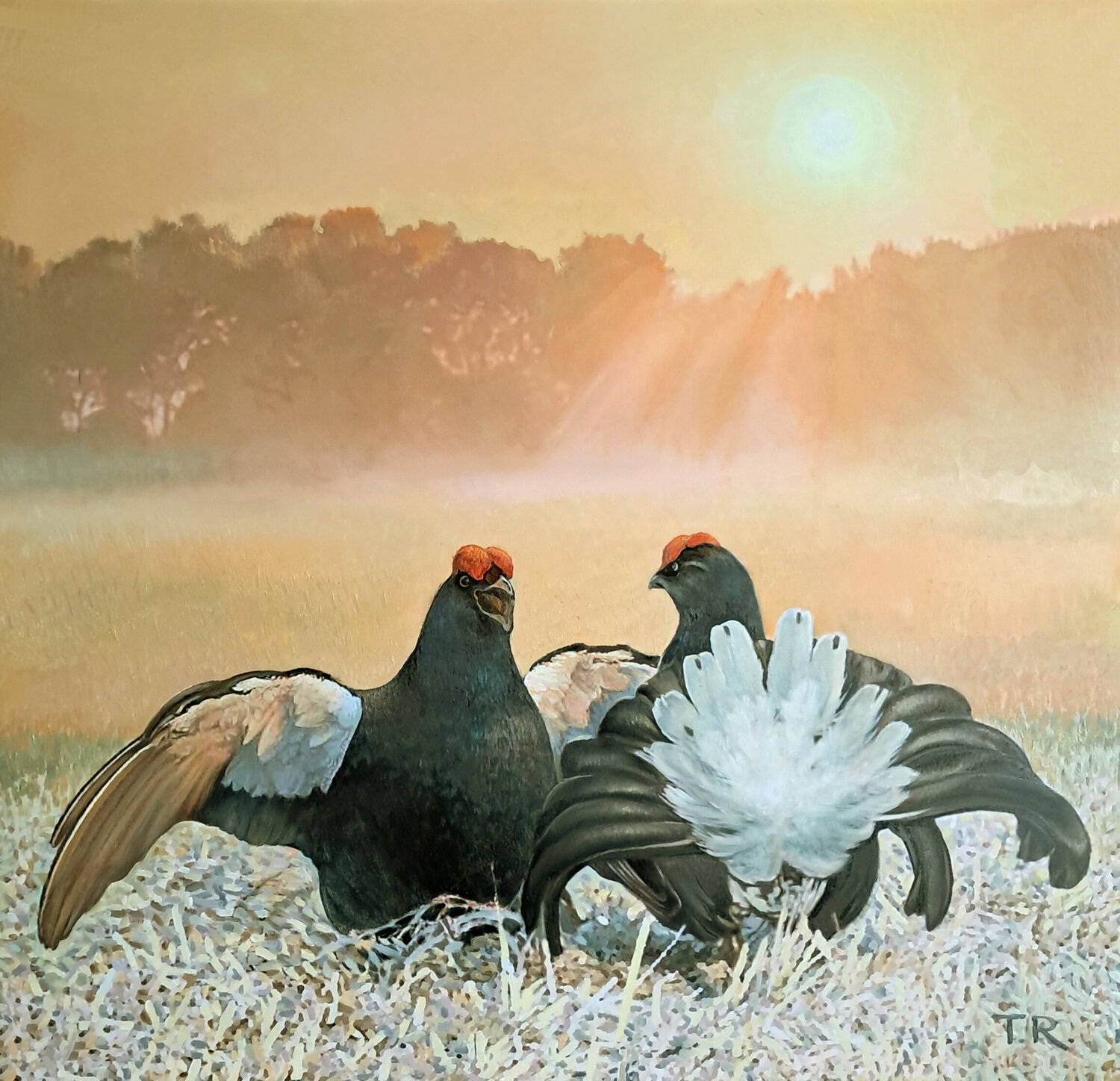 BLACK GROUSE ON THE LEK / MAN-TO-MAN TALK Tatiana Rezvaya Original painting for sale