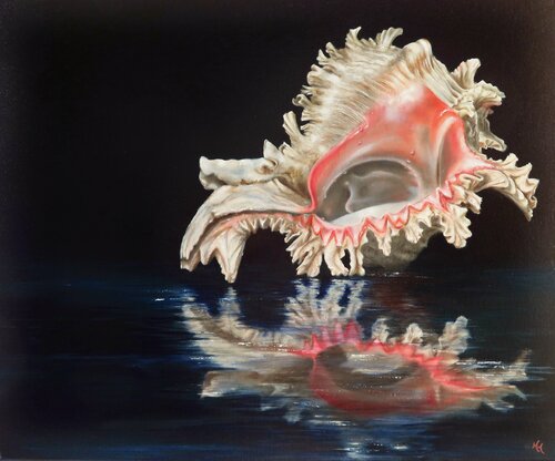 Murax shell by Nanda Hoep, Painting for Sale on Select