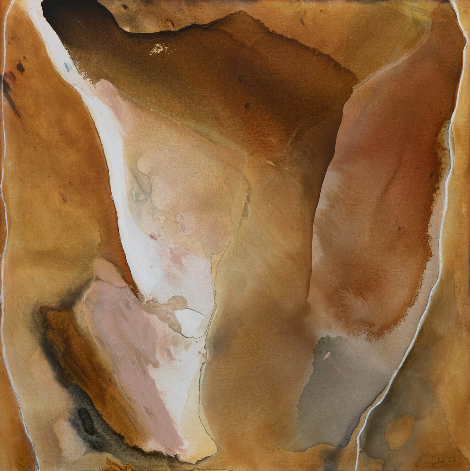 Tanami Desert Dinah Wakefield Original painting for sale