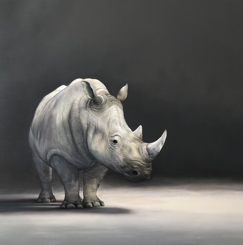 the shy rhino by massimo villa, Painting for Sale on Select