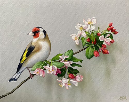 Il melo e il cardellino by massimo villa, Painting for Sale on Select