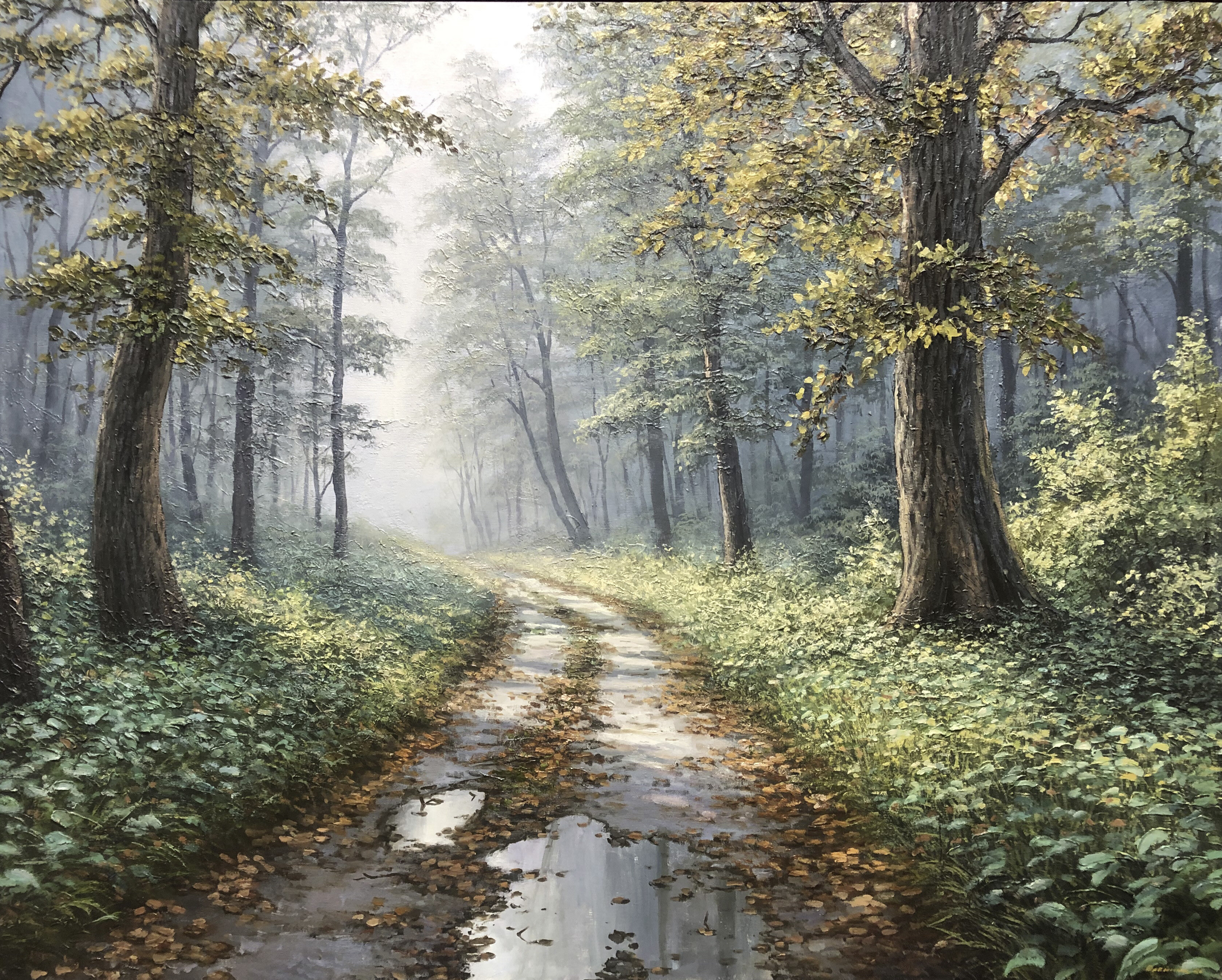 Fog in the forest