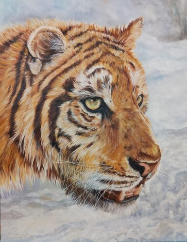 SIBERIAN TIGER PRINCE by Peter Goodhall, Painting for Sale on Select