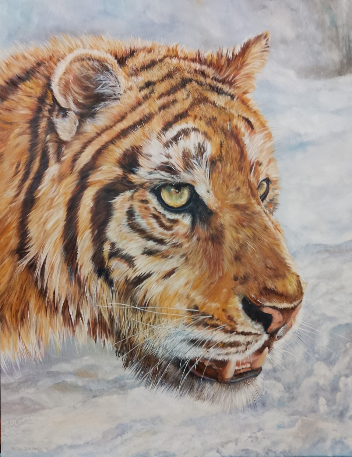 SIBERIAN TIGER PRINCE Peter Goodhall Original painting for sale