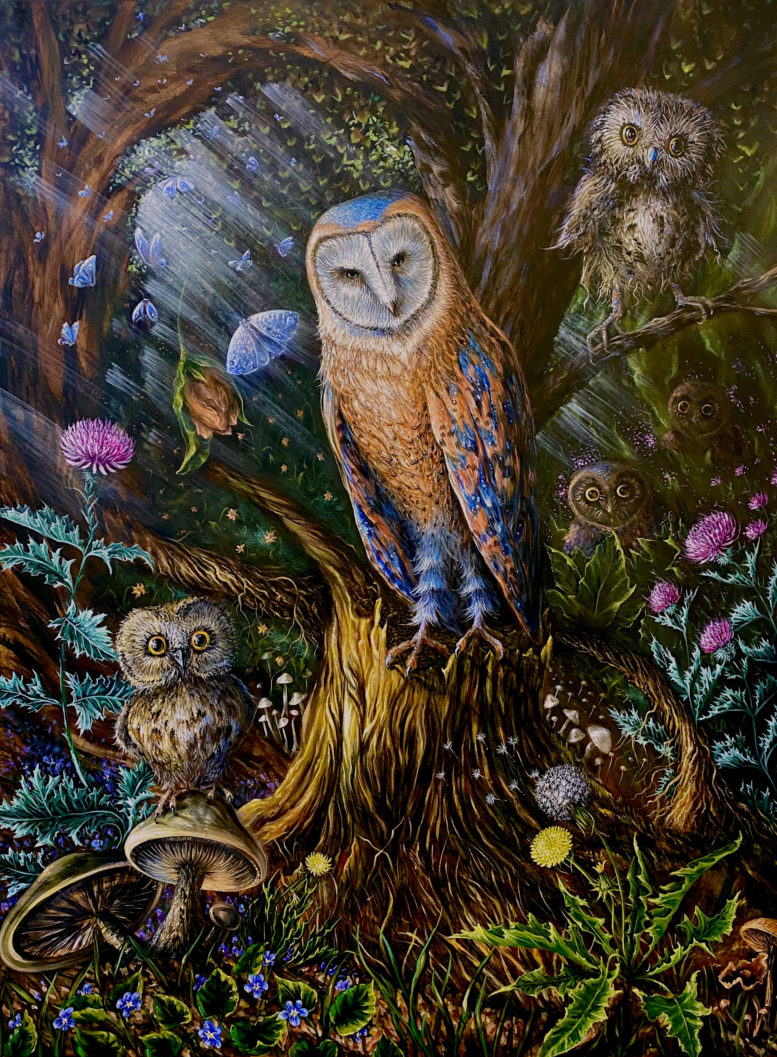 Owl Concert
