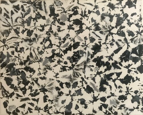 Flutter in Black and White by Ezra Bejar, Painting for Sale on Select