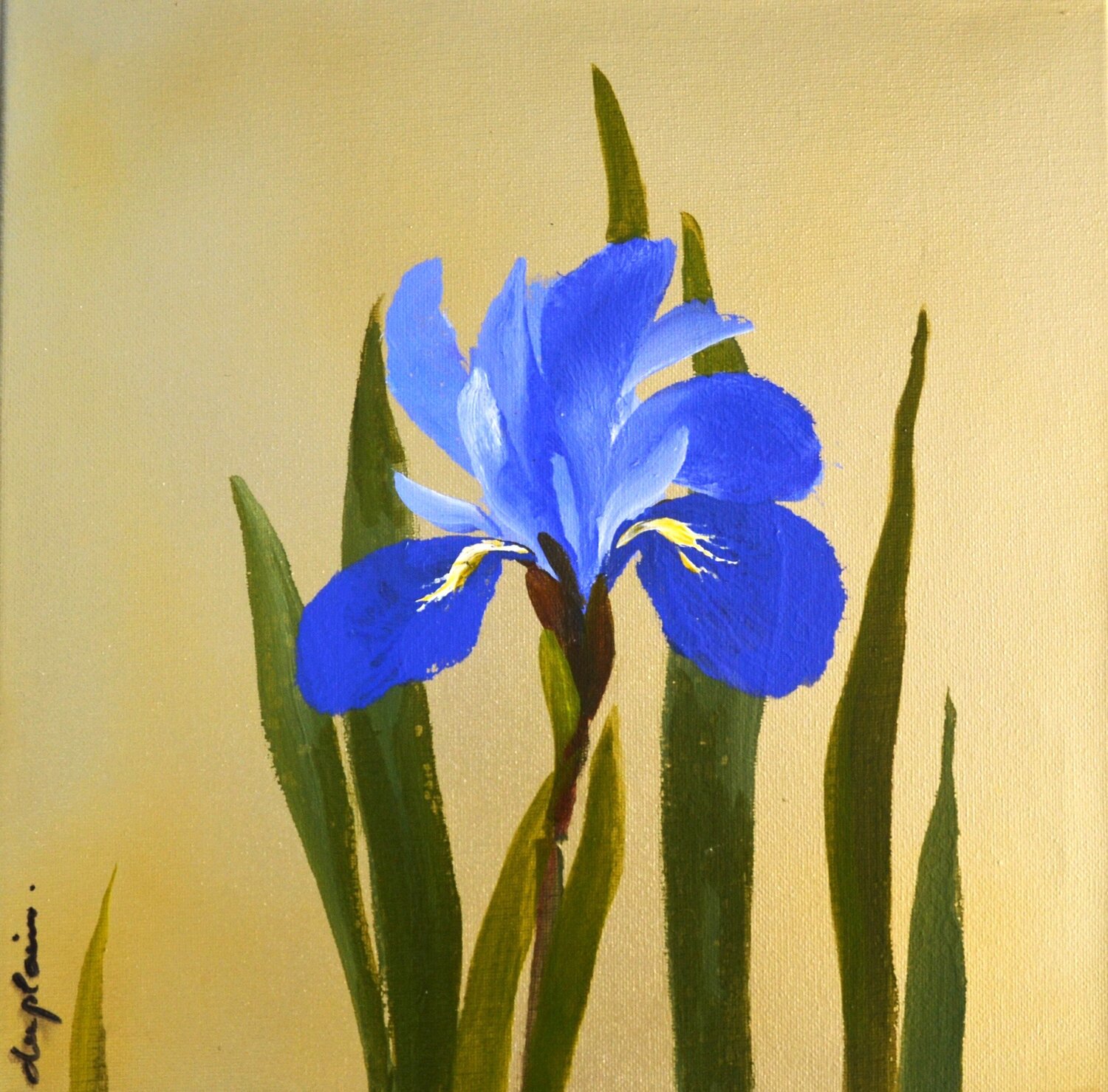 "Iris 1" Sophie Duplain Original painting for sale