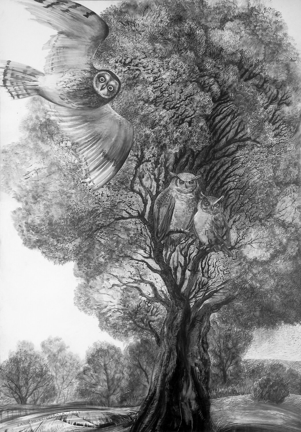 Owls Lana Korolievskaia Drawing for sale