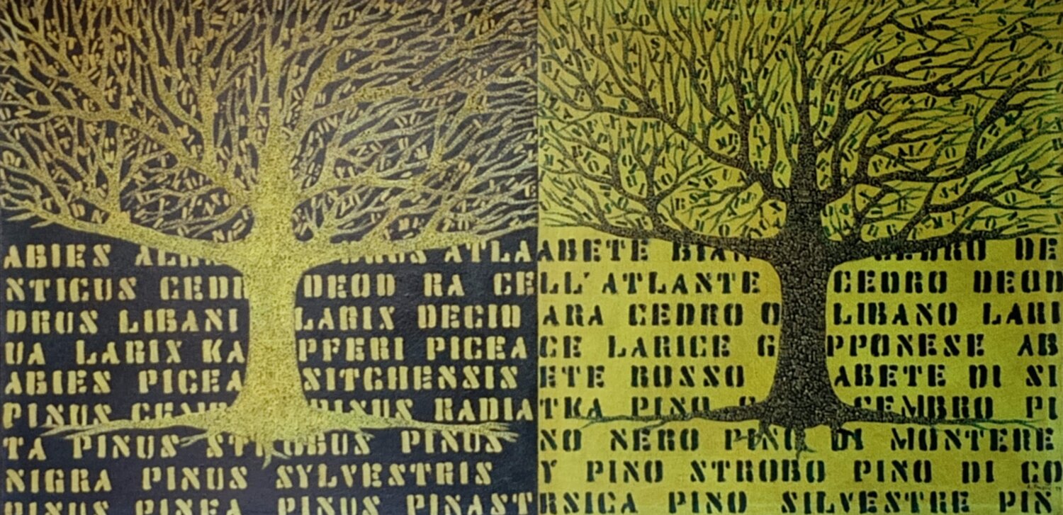 Due alberi Antonio Presti Original painting for sale