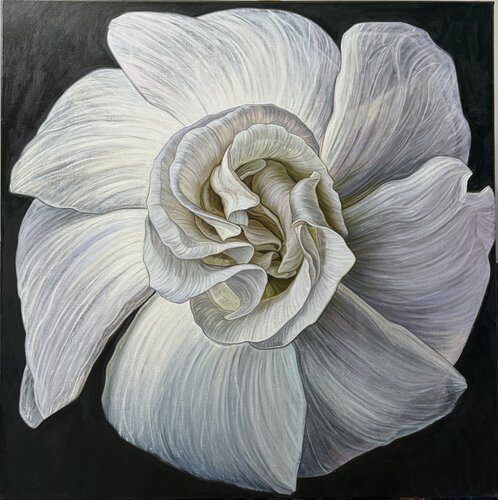 White flower on dark background von Elena Podmarkova, Malerei kaufen auf Select