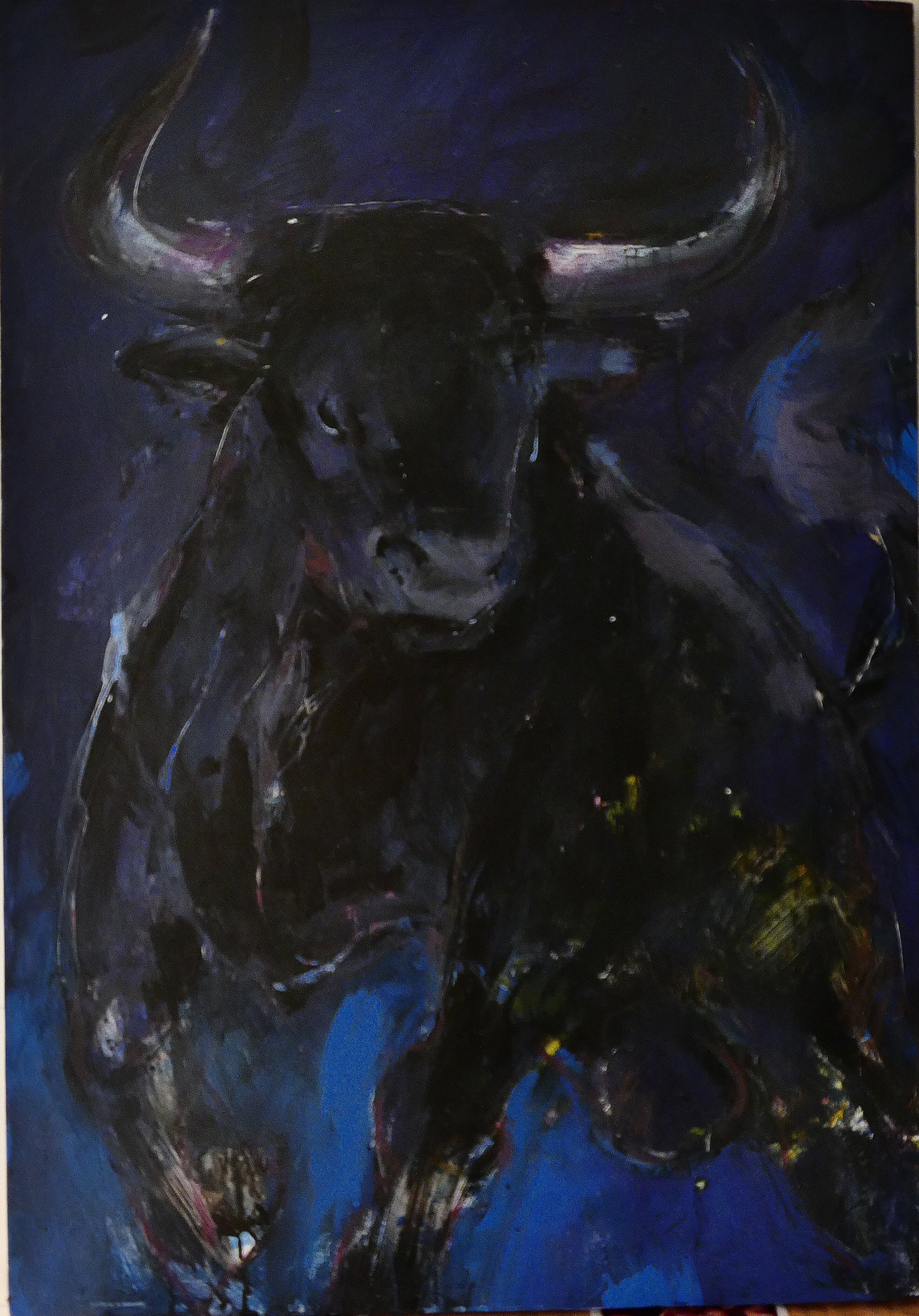 toro nº 23