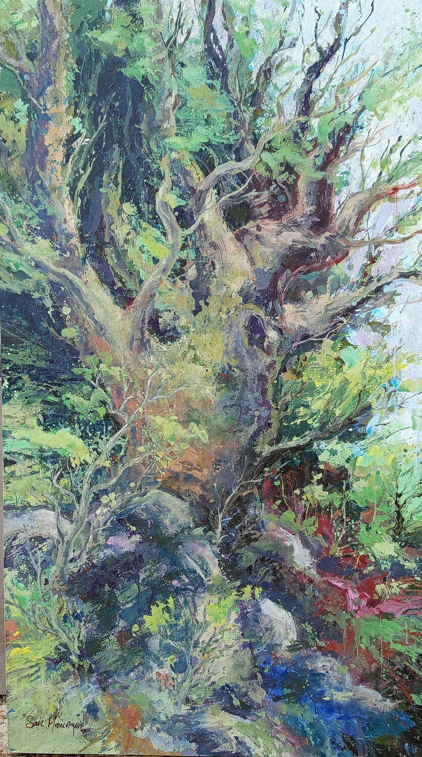 vegetal nº 11 juan angel saiz manrique Original painting for sale