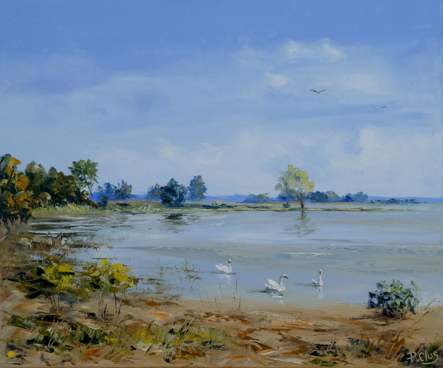 Cygnes au lac du Der Pascal Clus Original painting for sale