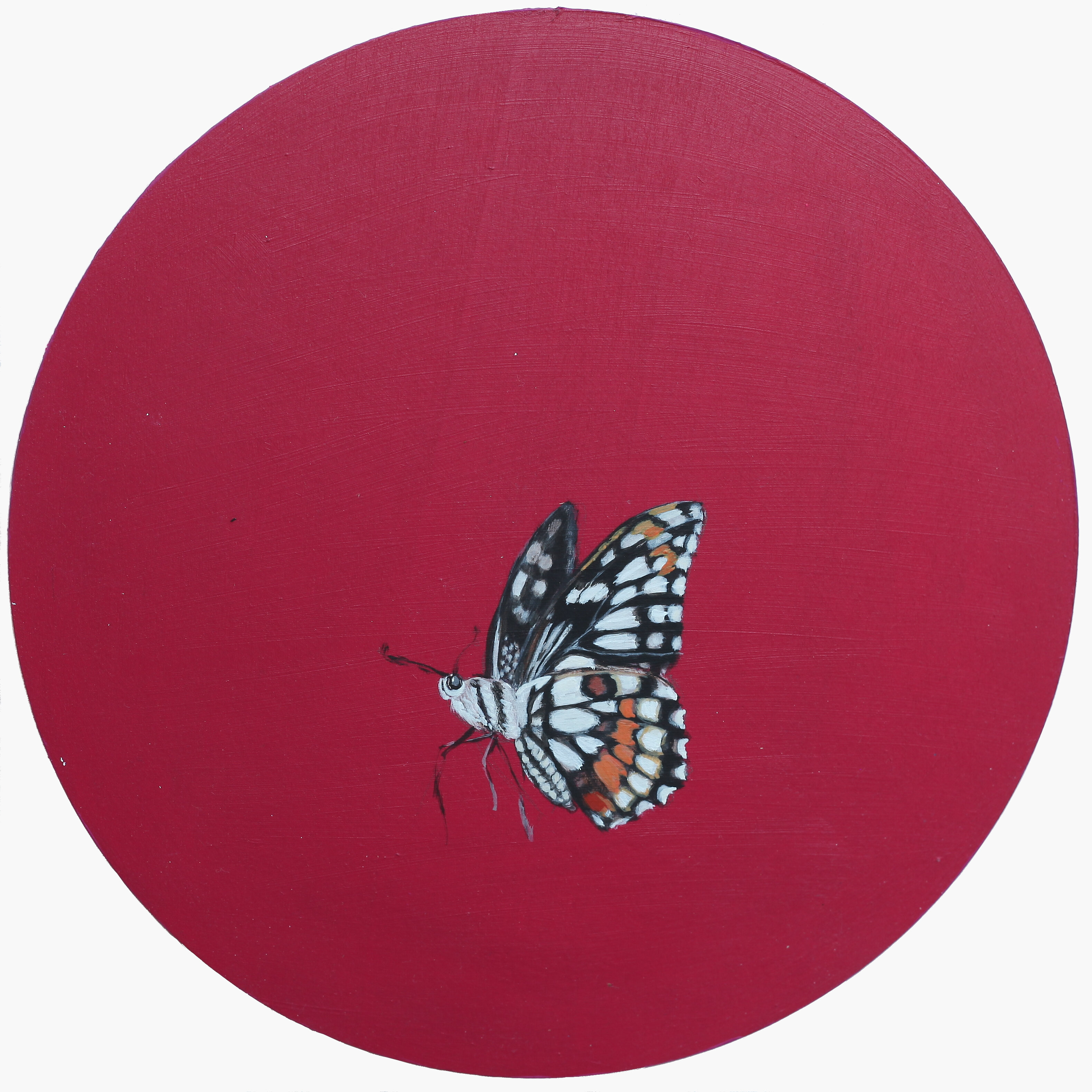 Topic Monarch Butterfly paintings