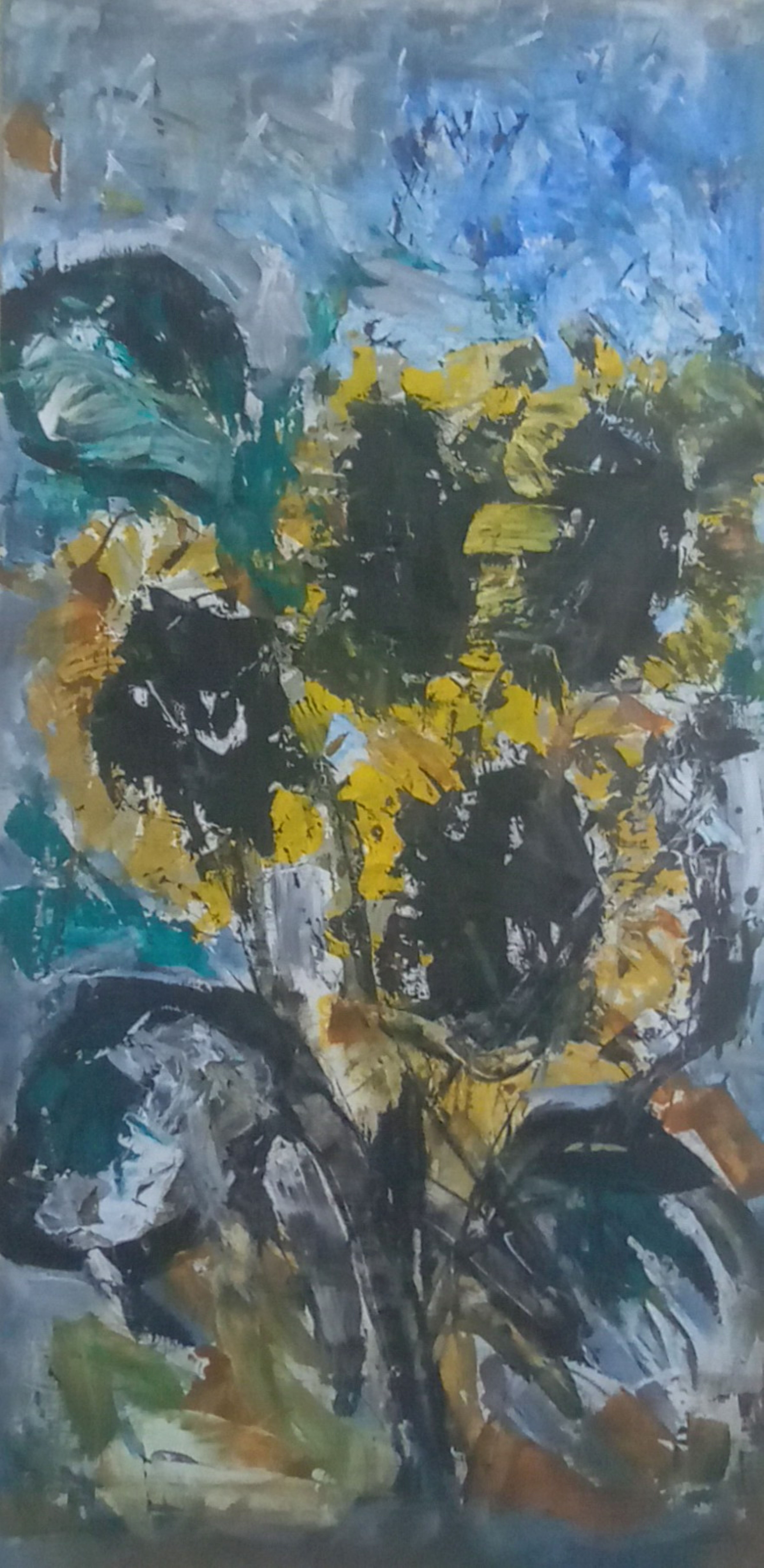 Girasoli
