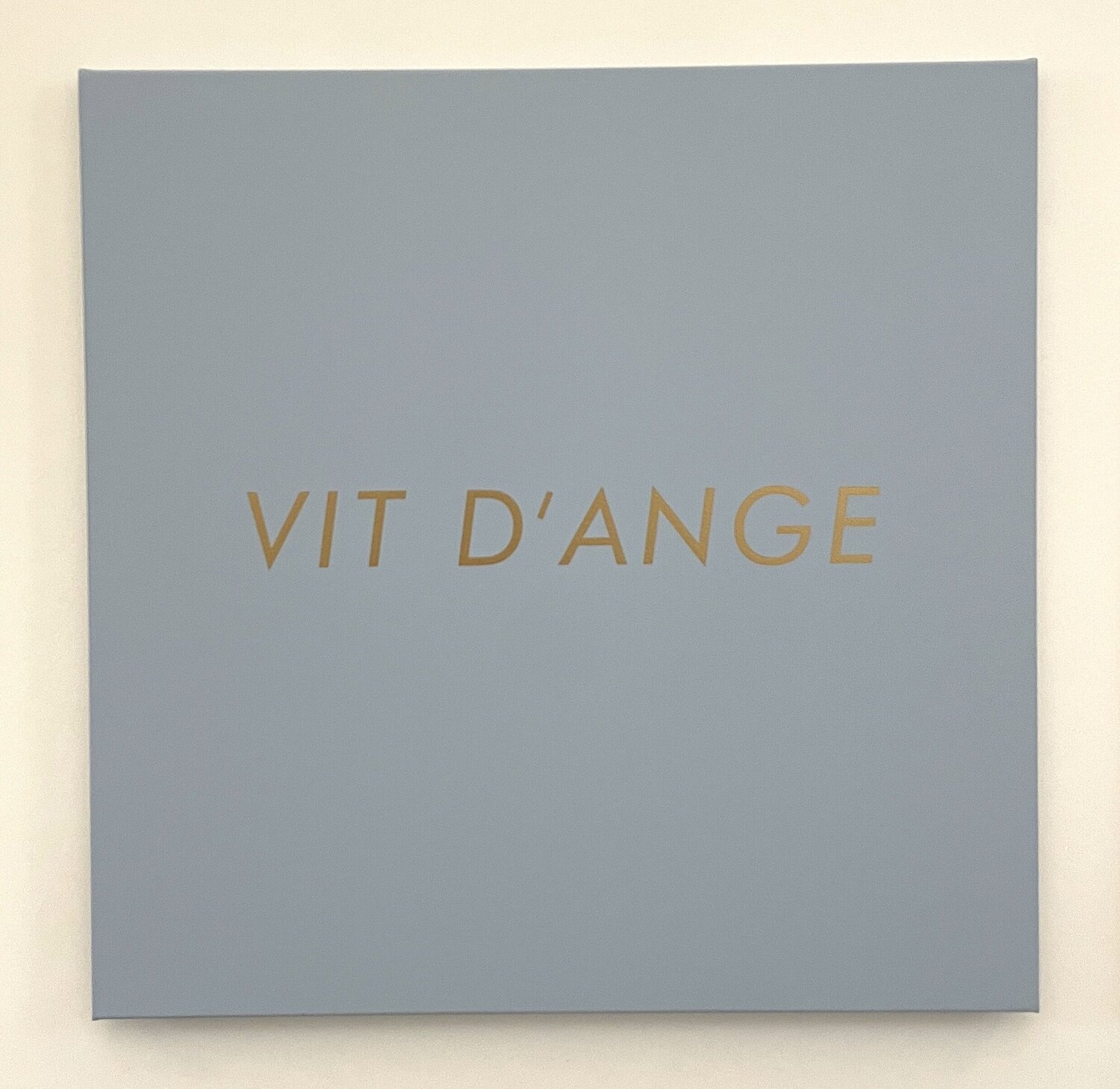 Vit d'Ange Jérôme Conscience Original painting for sale