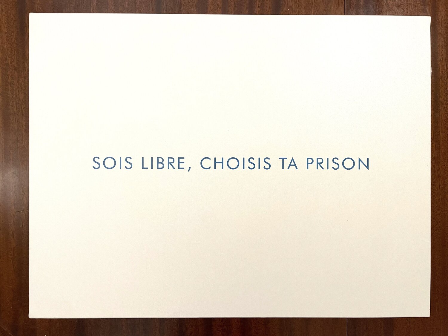 Sois libre, choisis ta prison Jérôme Conscience Original painting for sale