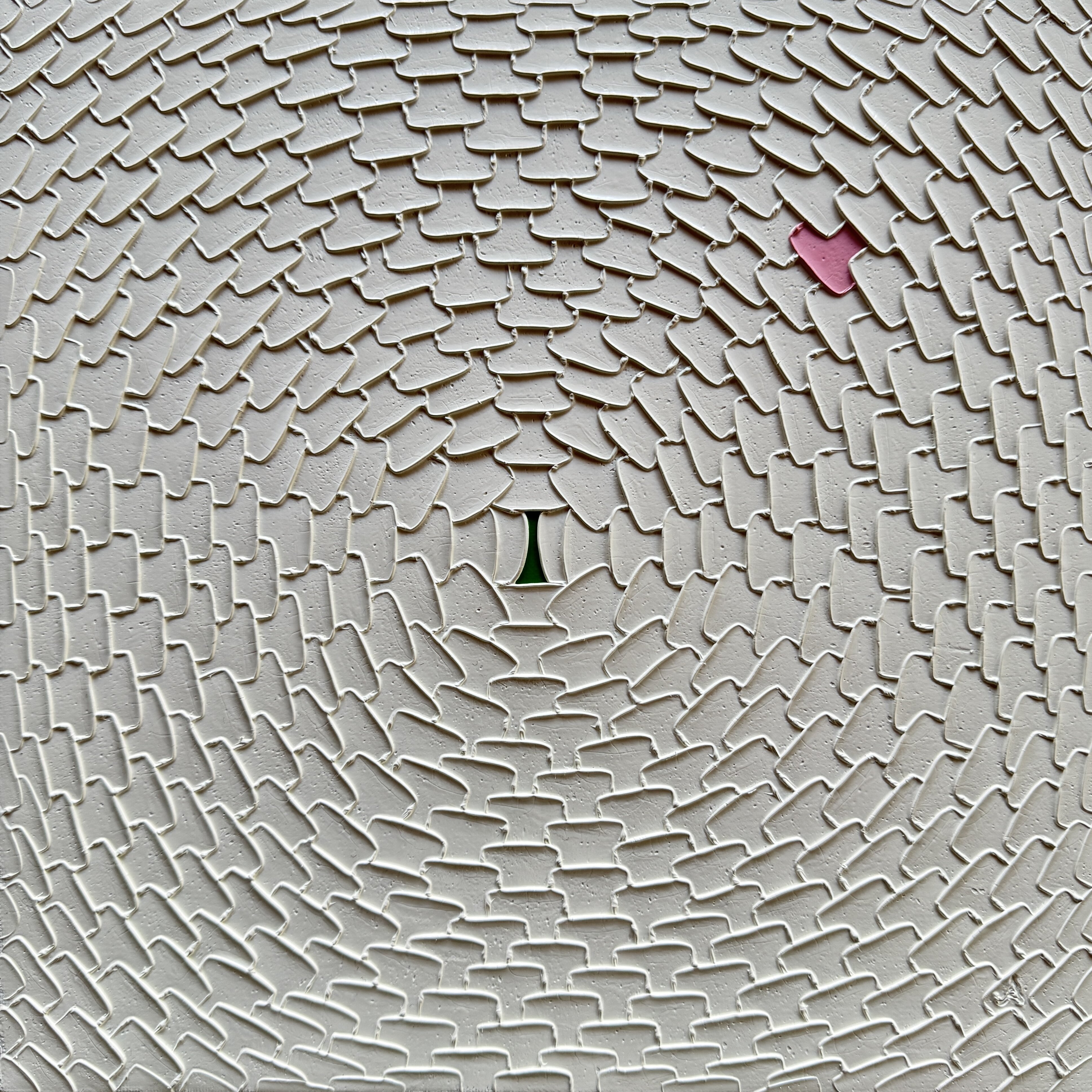 Rose-952