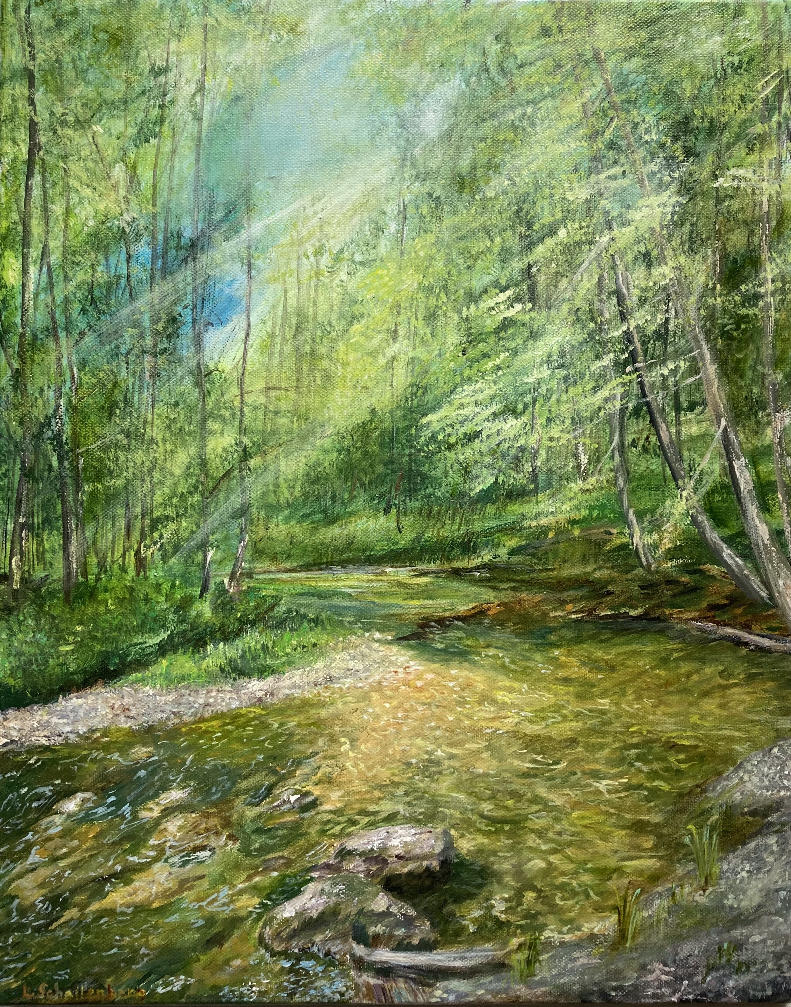 Forest in Lenzerheide