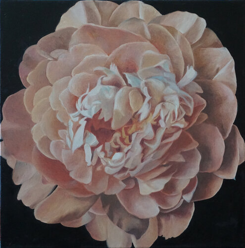 Pink Peony by richard jurtitsch, Painting for Sale on Select