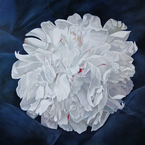 Whites on blue velvet by richard jurtitsch, Painting for Sale on Select