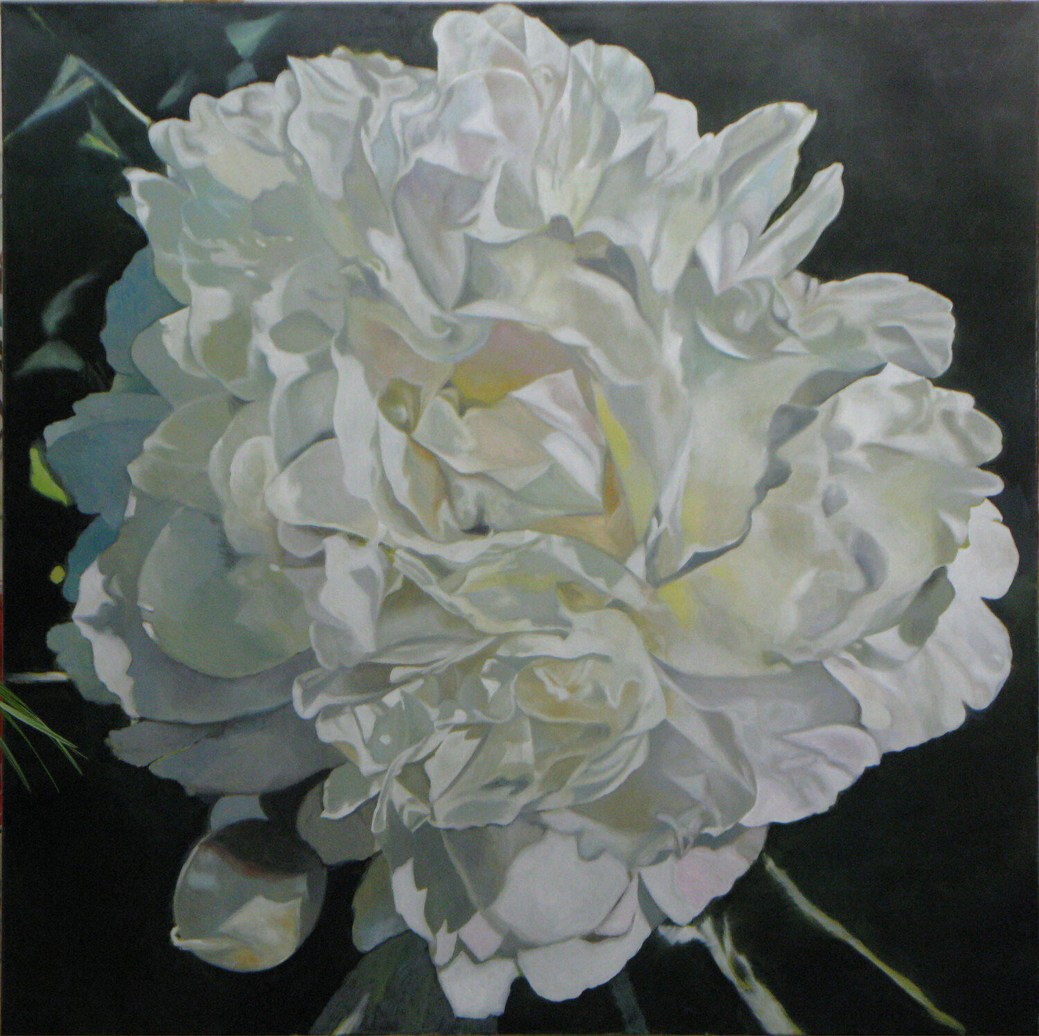 White Peony richard jurtitsch Original painting for sale