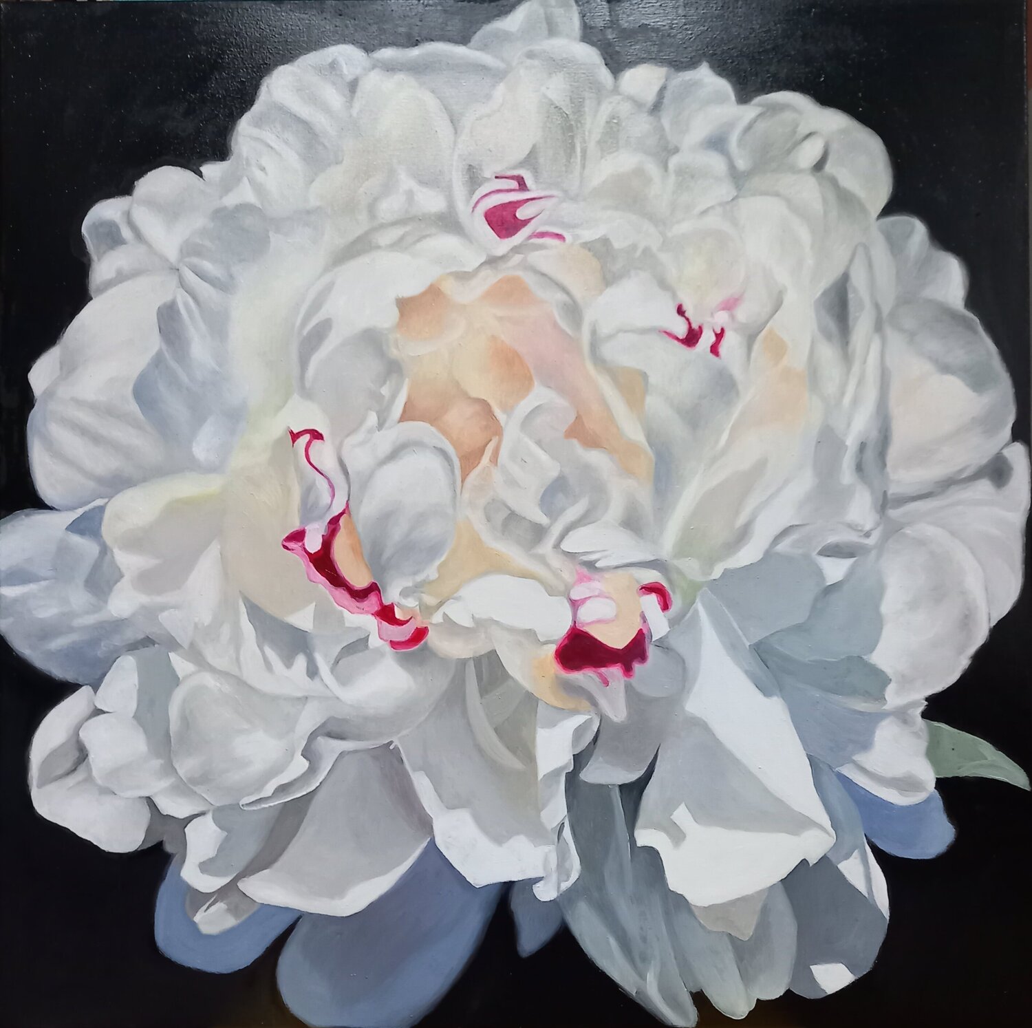 White Peony richard jurtitsch Original painting for sale