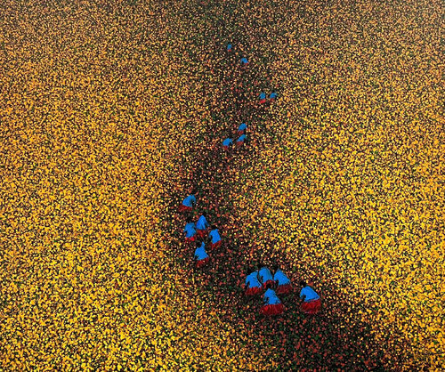 The way to the flower land No.4 by Trong Thuong Tran, Painting for Sale on Select