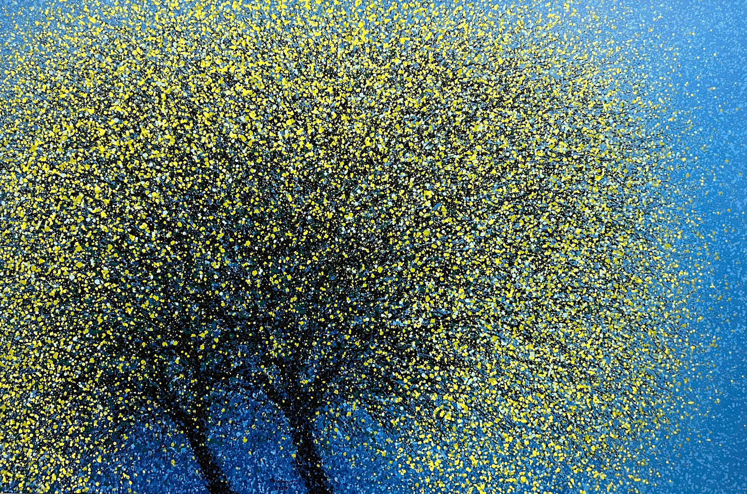 Yellow apricot blossoms in the winter sun Trong Thuong Tran Original painting for sale