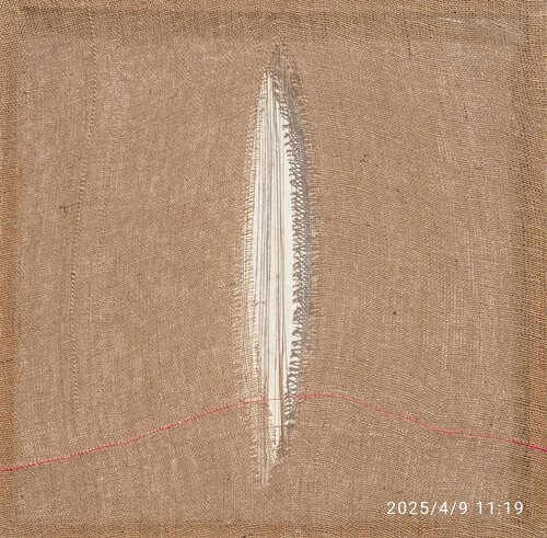 Aprirsi by Giustino Caposciutti, Painting for Sale on Select