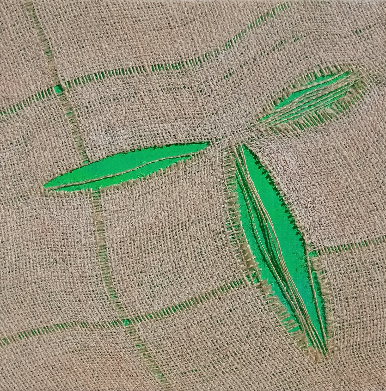 Green inside Giustino Caposciutti Original painting for sale