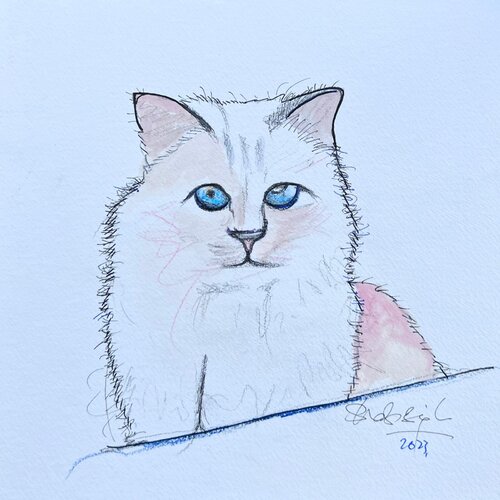 Choupette 1 by Shabs Beigh, Drawing for Sale on Select