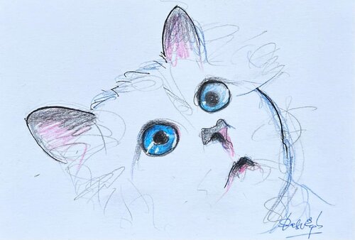 Choupette 3 by Shabs Beigh, Drawing for Sale on Select
