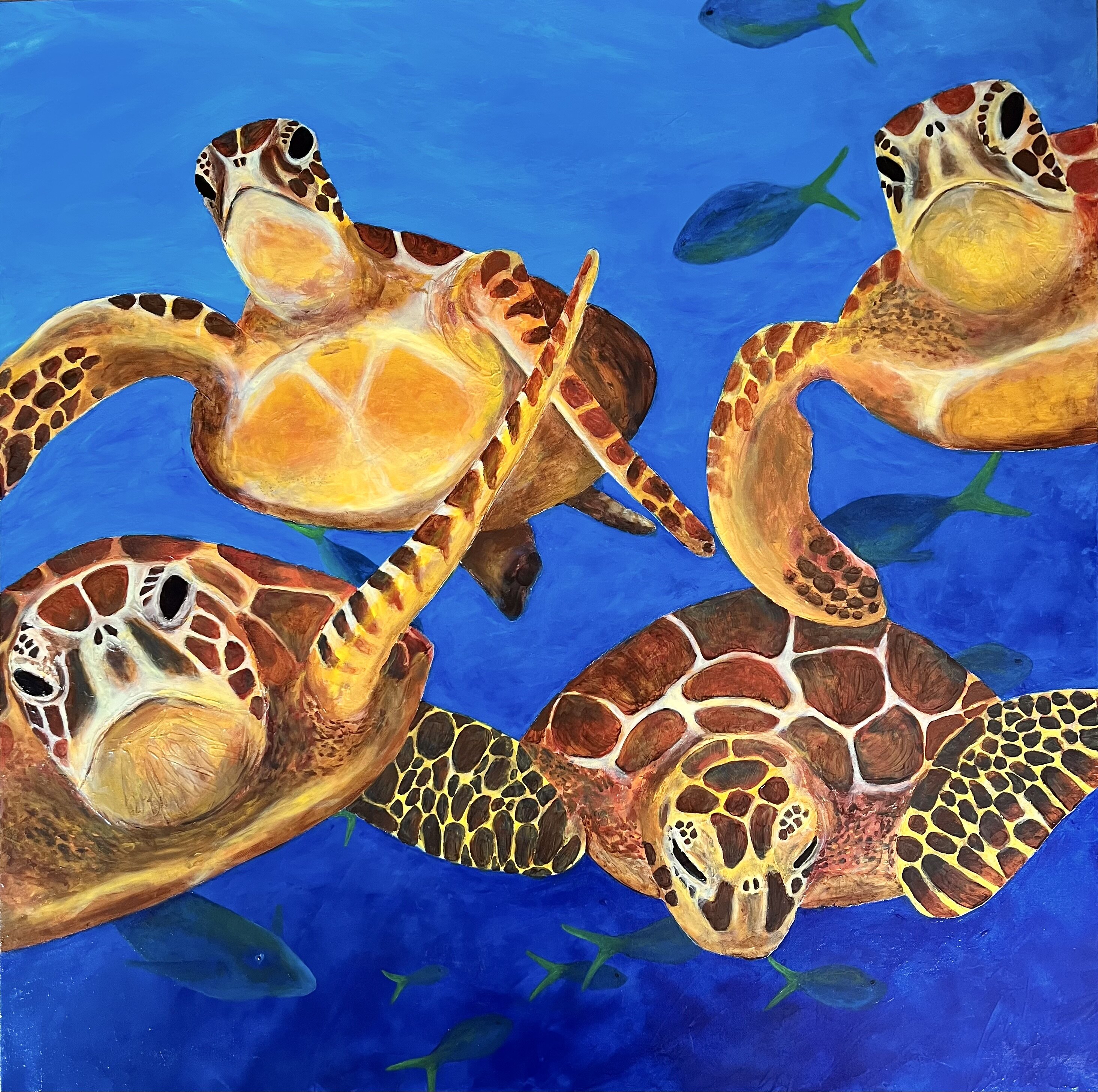 Tortuga